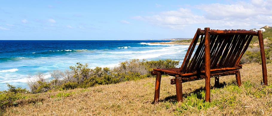 brown wooden bench near seashore, horizon, idyll, view, plants HD wallpaper