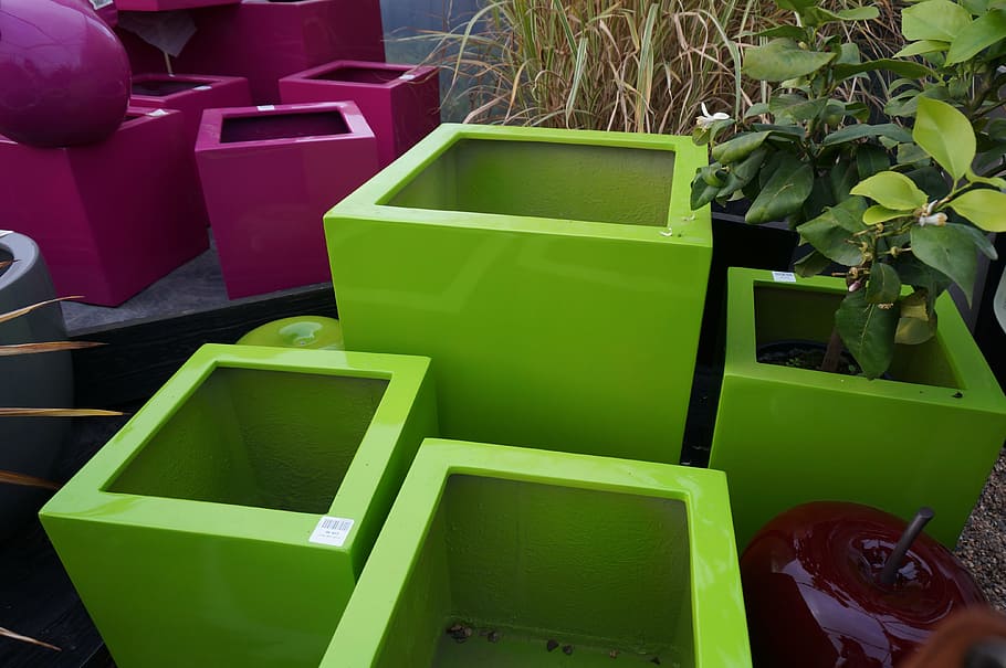pot, green, pink, design, green color, no people, seat, container HD wallpaper