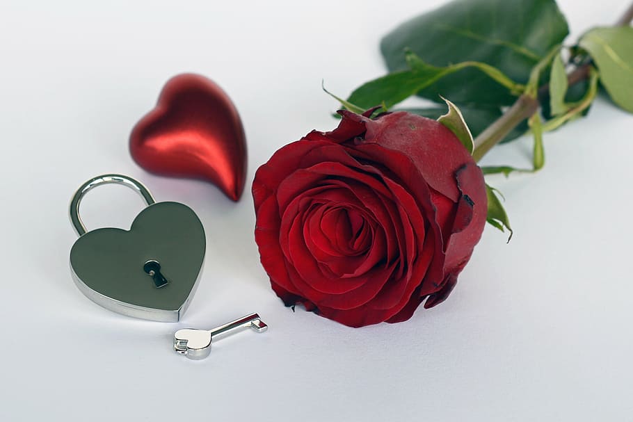 red rose, heart, castle, key, open, rose flower, romance, love, HD wallpaper