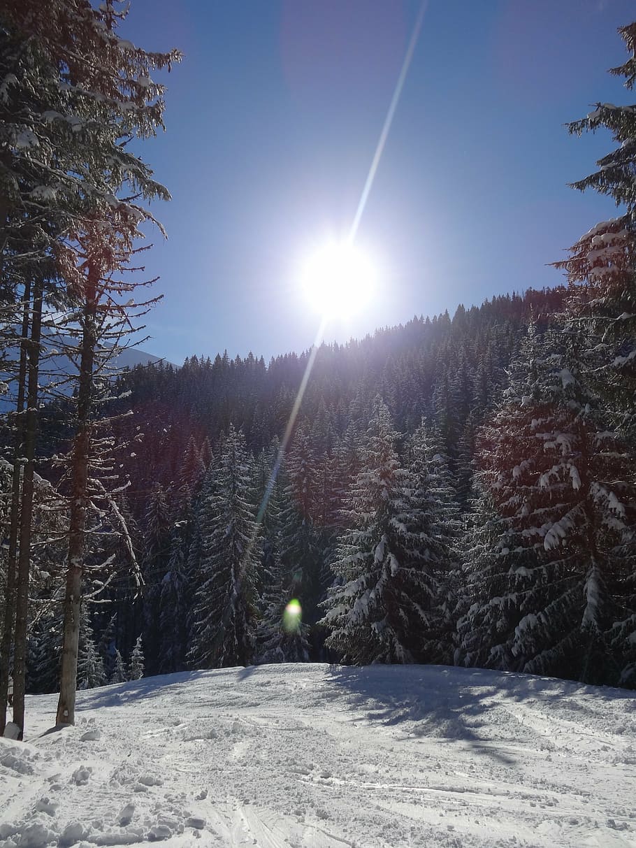 sun, rays, landscape snow, winter, mountain, alps, cold temperature HD wallpaper