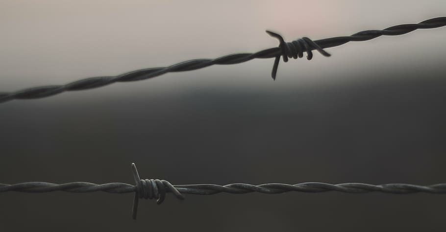 selective photo of metal barbwire, fence, outdoor, sky, gray HD wallpaper