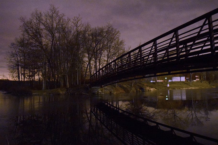 ice, pond, reflection, night, bridge, trees, park, winter, frozen HD wallpaper