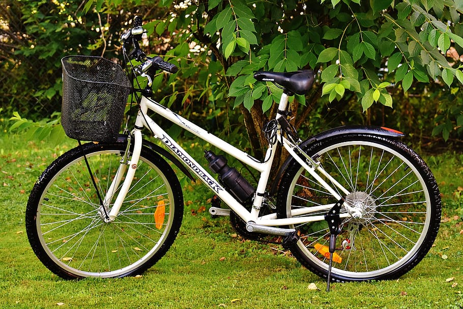 bike, cycle, wheel, cycling, sport, two wheeled vehicle, healthy, HD wallpaper