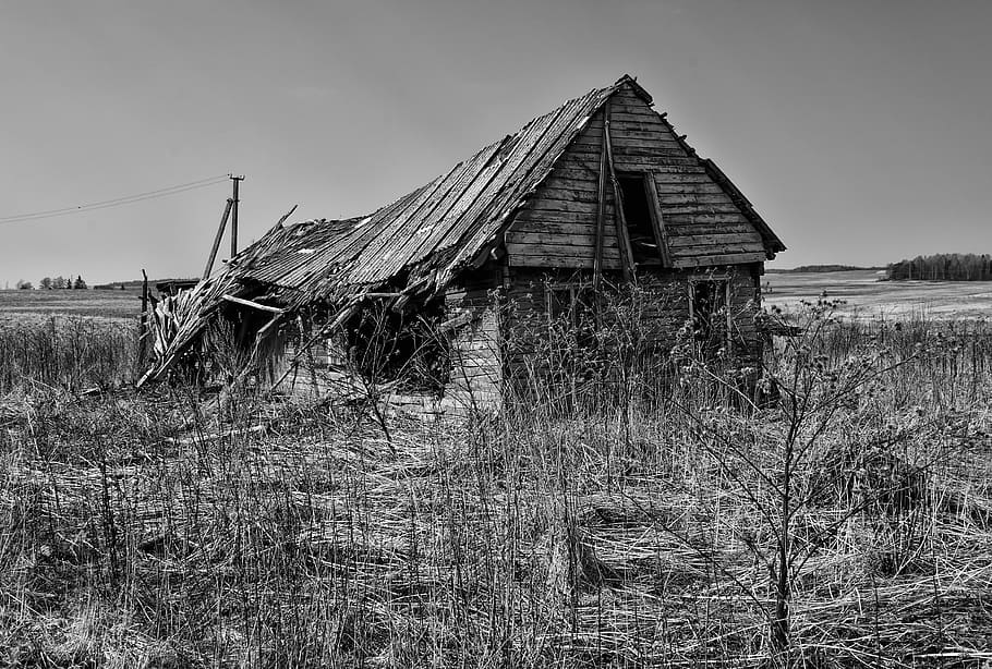 barn, abandoned, farm, nature, rustic, architecture, built structure HD wallpaper