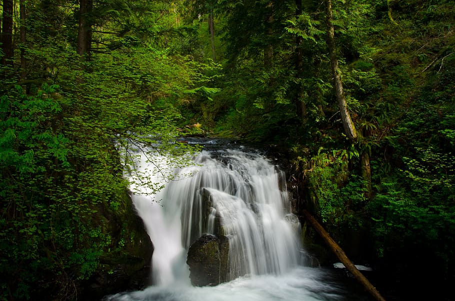 time-lapse photography of waterfall, forest, nature, bach, landscape HD wallpaper