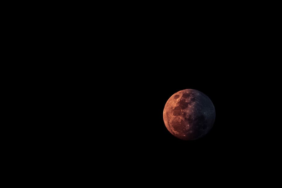 close up photo of full moon, close up photo gray moon with dark background HD wallpaper