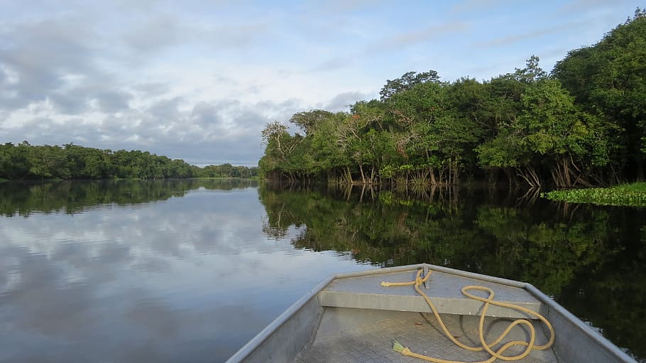 used gray rowboat, Guaporé, Amazon, Nature, rio, jungle, forest, HD wallpaper