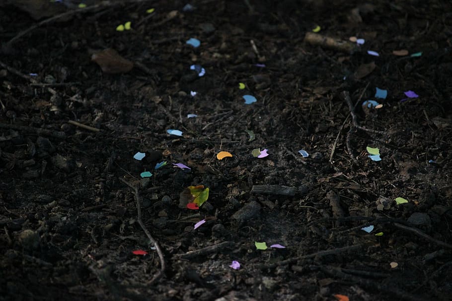 assorted-color shattered paper on ground, confetti, dirt, growth HD wallpaper