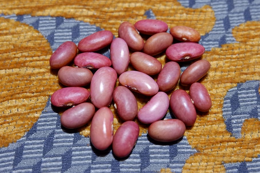 beans, garden bean, pole beans, lazy housewife, sleeve, harvest, HD wallpaper
