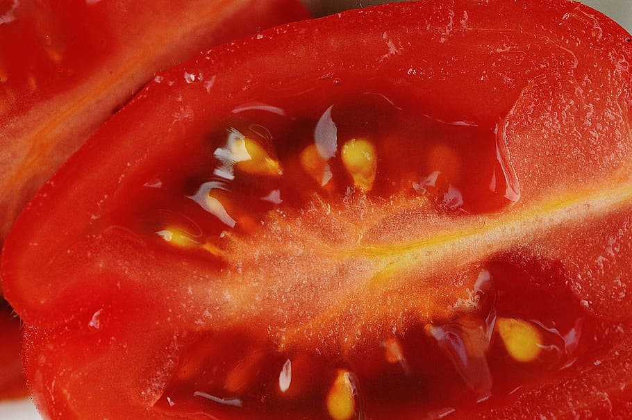 Tomatoes, Sliced, Vegetables, Macro, red, food, garden, healthy HD wallpaper