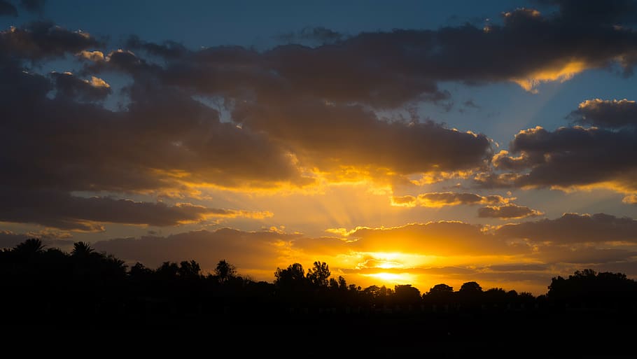 silhouette of forest during sunrise, sky, dark, orange, black HD wallpaper