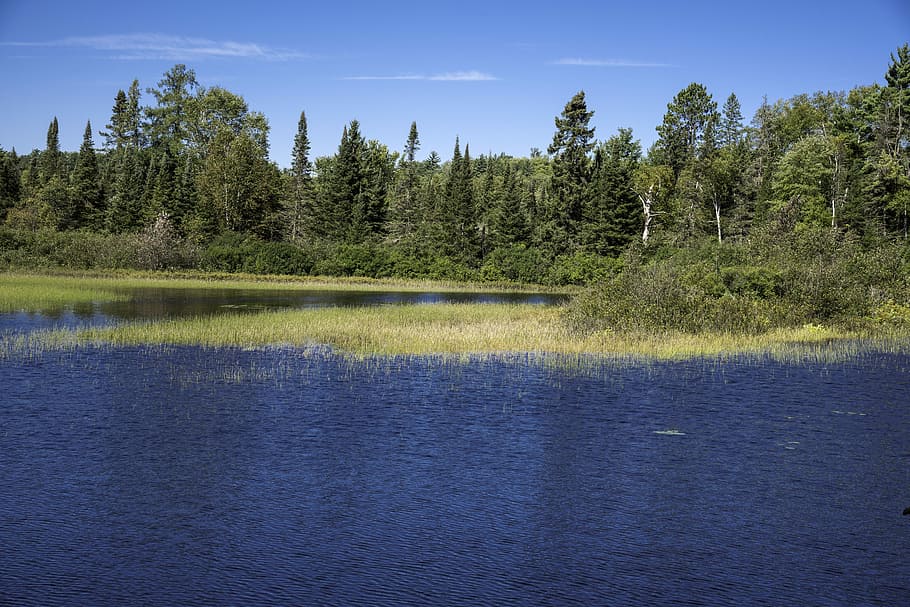 Landscape across the Peshekee River at Van Riper State Park, Michigan, HD wallpaper