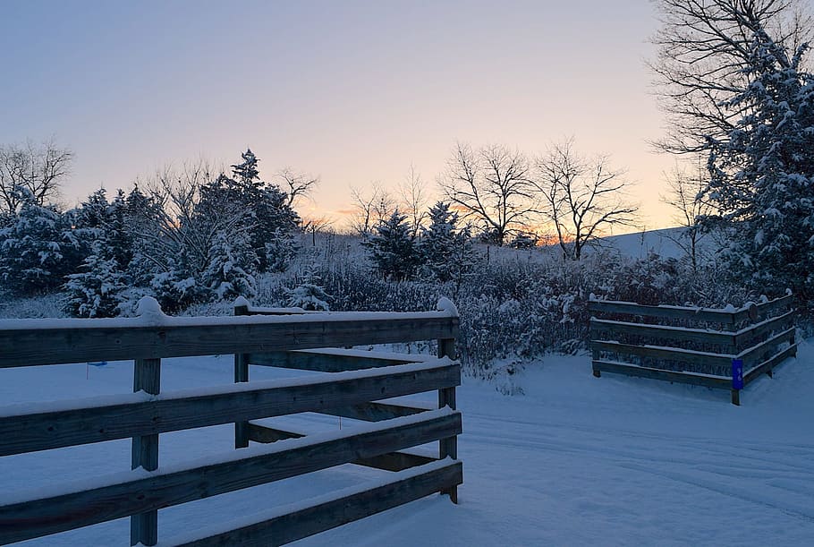 winter, snow, morning, cold, wooden, fence, trees, outdoor HD wallpaper