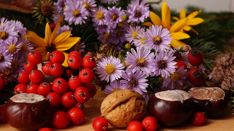 painting of flowers and food, composition, plants, fruit, rowan HD wallpaper
