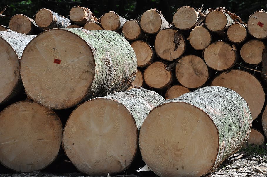 pile of gray wood log lot, tree, sawmill, fathom, production, HD wallpaper
