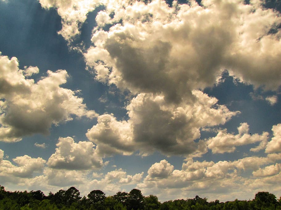 clouds, sky, blue, trees, white sunlight, nature, outdoors HD wallpaper
