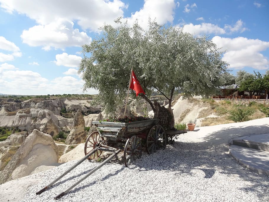 landscape, cappadocia, turkey, plant, nature, tree, cloud - sky HD wallpaper