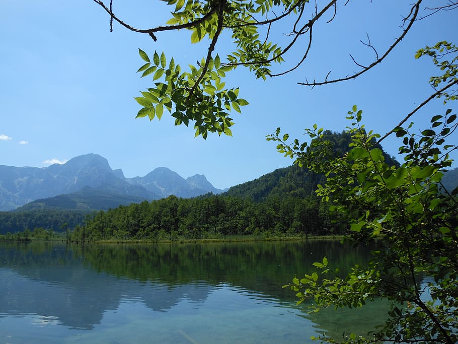 Nature, Landscape, Almsee, reflection, tree, mountain, lake HD wallpaper