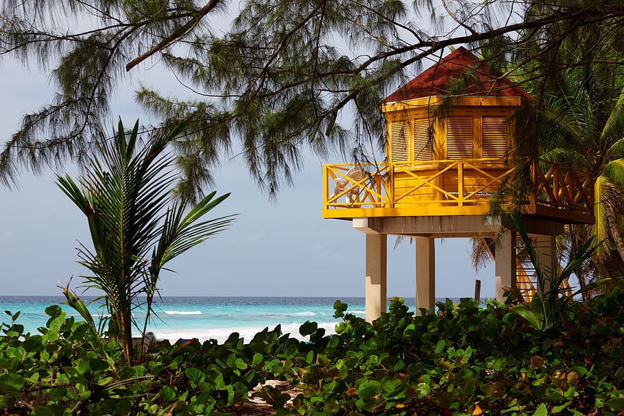 lifeguard, beach, tower, yellow, safety, architecture, patrol HD wallpaper