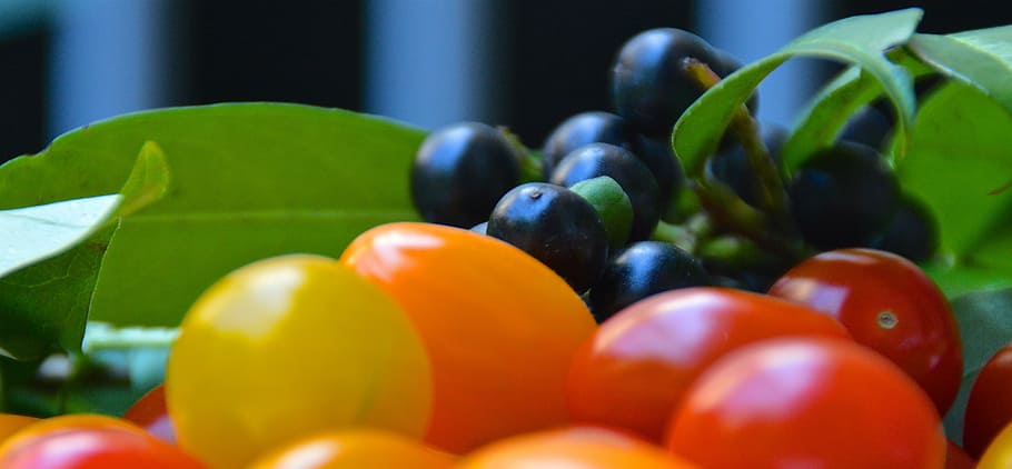 red tomato and grapes, cherry laurel, berries, tomatoes, leaves HD wallpaper