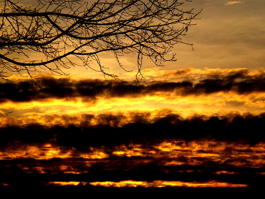 Sunset, Sun, Cloud, Fire, Red, sky, black, nature, bare tree HD wallpaper