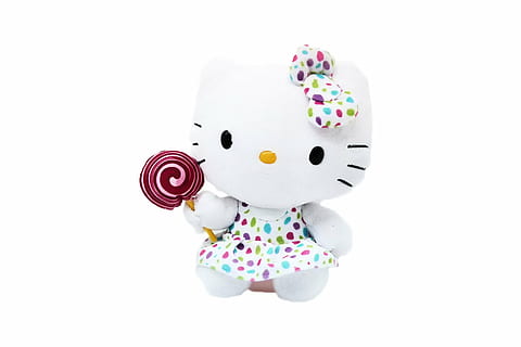 Buy Hello Kitty Youth ing Bag with 2.0-Pound Fill, 28 x 56-Inch Online at  desertcartINDIA