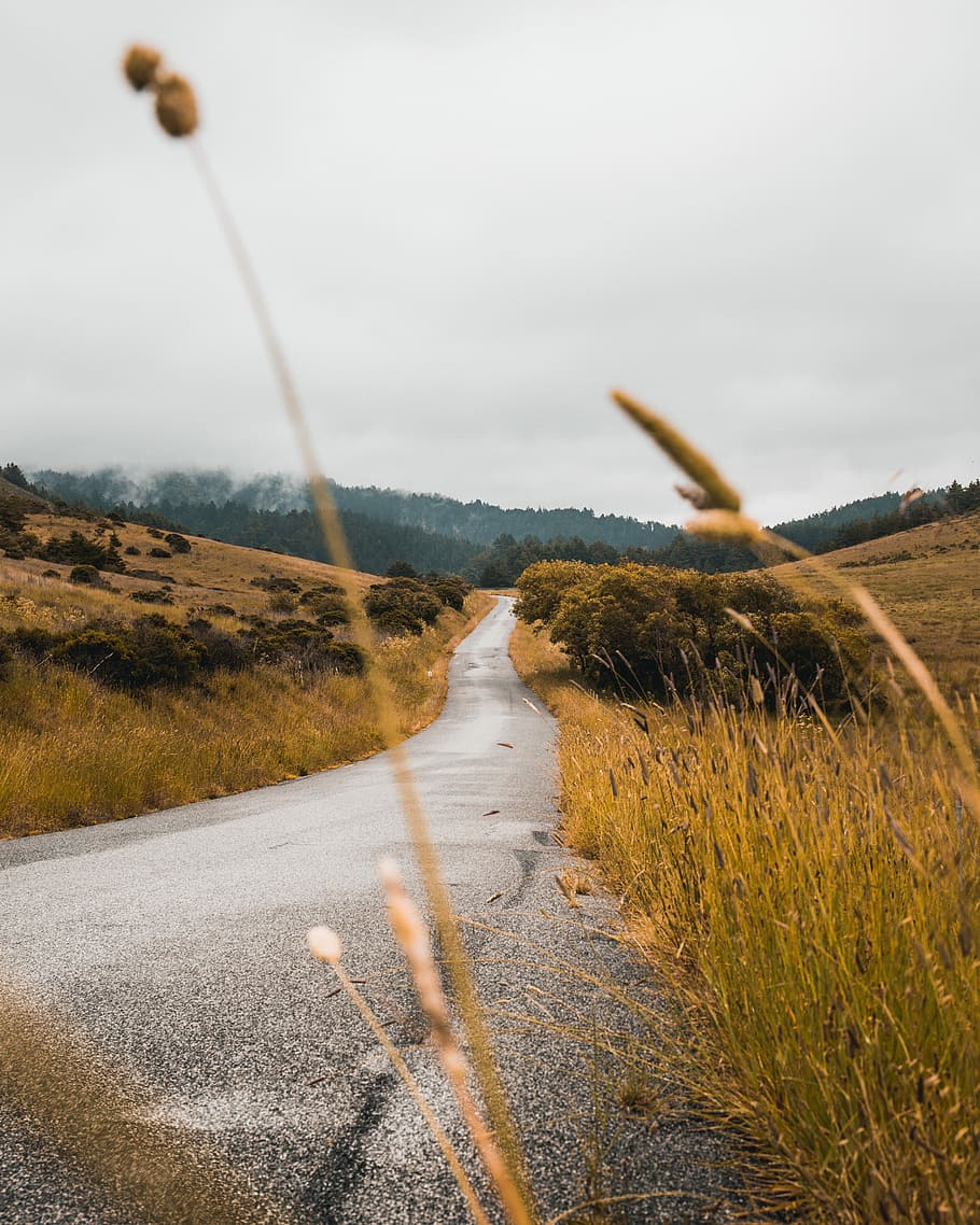 gray concrete road along grass field, gray road and grass at daytime HD wallpaper
