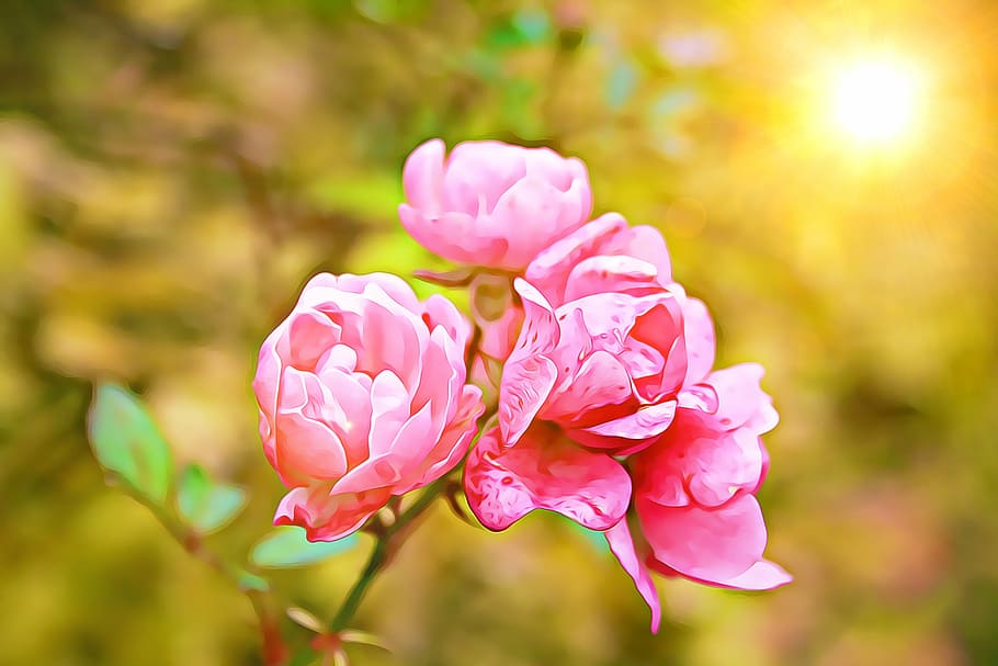 digital, painting, graphics, rose, garden, petal, art, flower HD wallpaper
