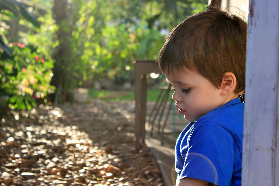 Garden, Eventide, Child, Nature, childhood, children only, boys HD wallpaper