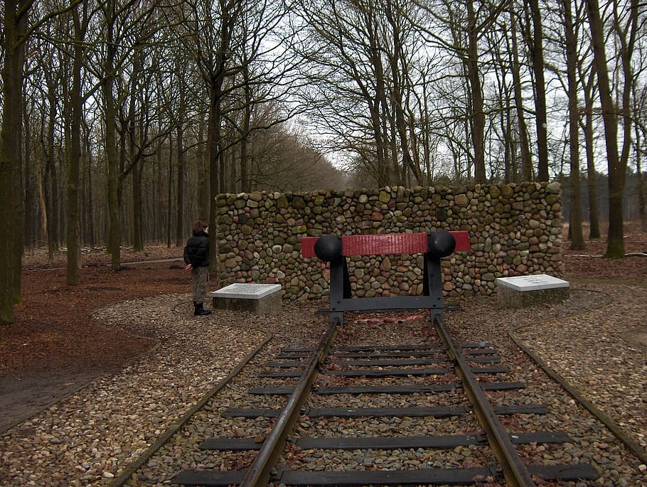 westerbork, drenthe, concentration camp, tree, plant, rail transportation HD wallpaper