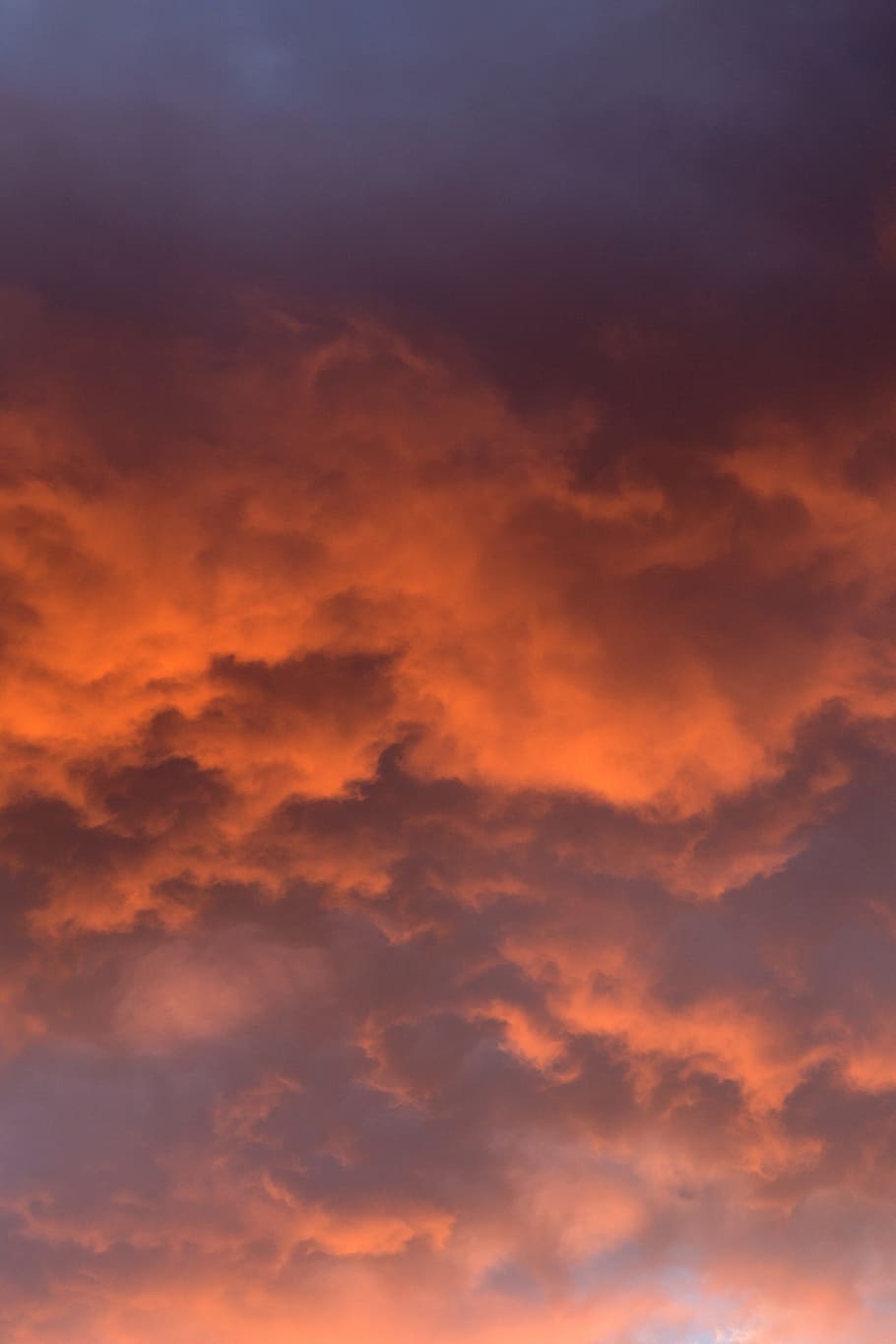 orange clouds during golden hour, nature, sky, summer, sunset HD wallpaper
