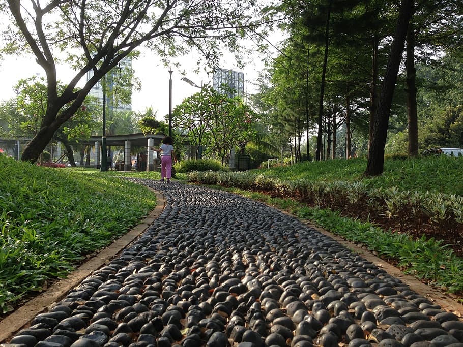 Stone, Path, Track, Footpath, park, walking, pathway, walkway HD wallpaper