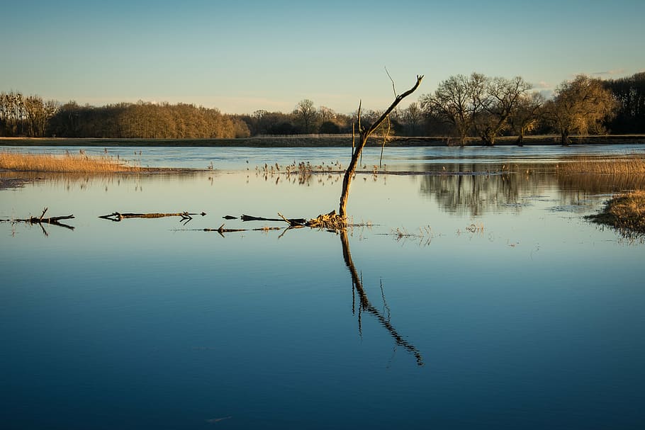 high water, evening, river, current, nature, mood, sunset, landscape HD wallpaper