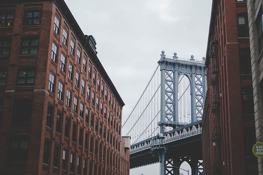 architectural photography of gray bridge and brown building, gray suspension bridge and brown city buildings HD wallpaper