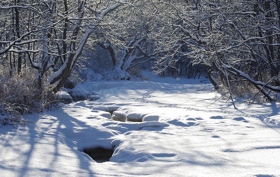 river, back on track, bend, water, for, turn the river, evening HD wallpaper