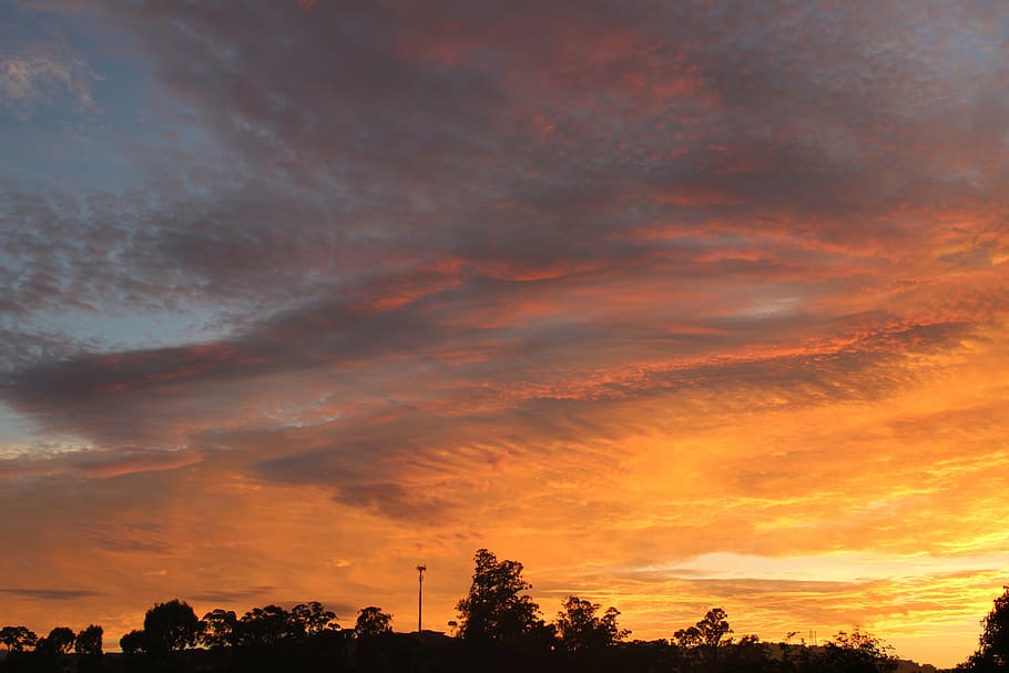 dawn, sunrise, sol, cloud, horizon, cloud - sky, sunset, tree HD wallpaper