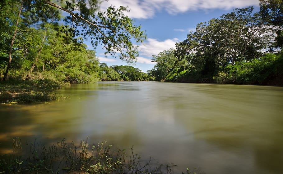 nature, water, tree, landscape, outdoors, reflection, river HD wallpaper