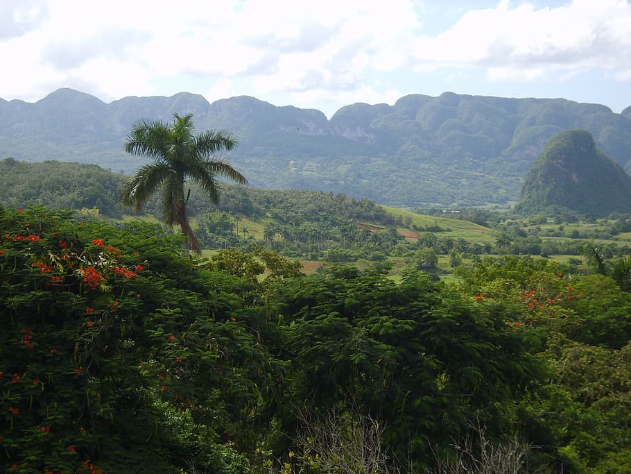 cuba, vinales, landscape, plant, beauty in nature, tree, mountain HD wallpaper