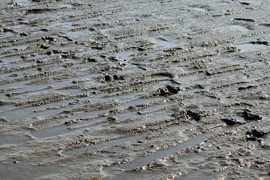 watts, sea, schlick, mud, dirty, wadden sea, land, day, no people HD wallpaper