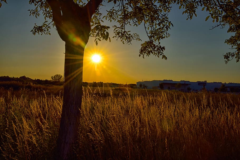 sunset, nature, dawn, landscape, dusk, panorama, evening, schönwetter HD wallpaper