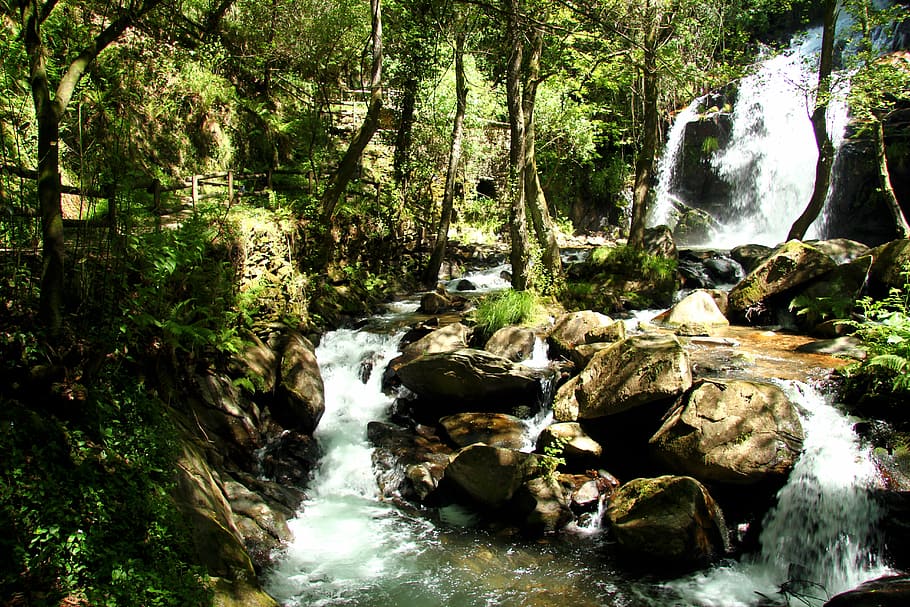 cascade, sever, cabreia, vouga, forest, long exposure, tree HD wallpaper