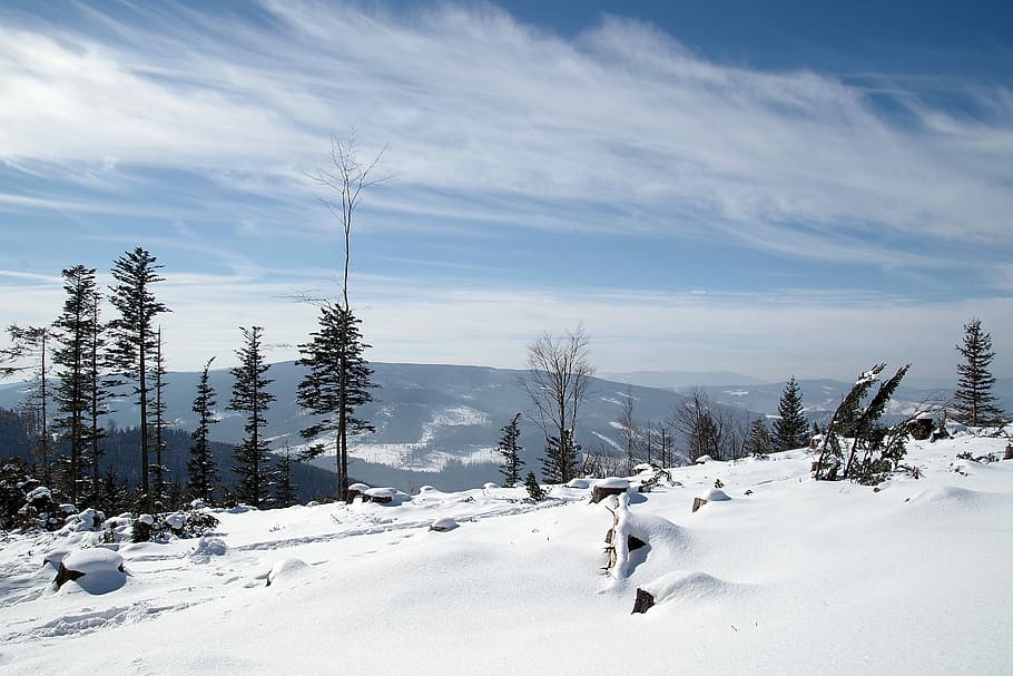 photo of glacier mountain covered with snow, winter, mountains HD wallpaper