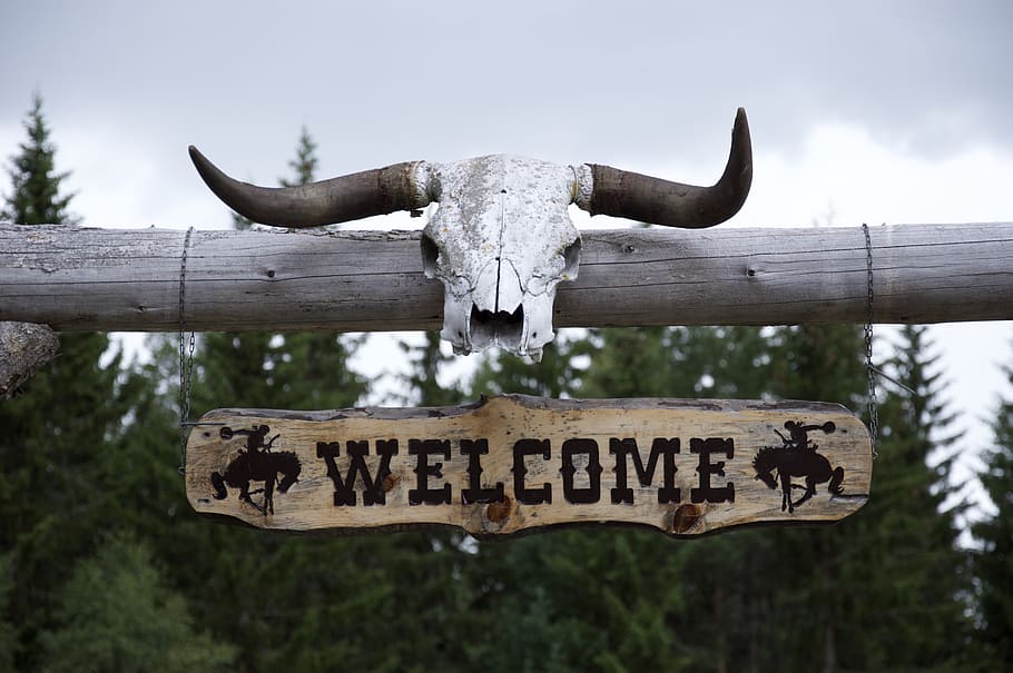 Welcome signage during daytime, western, horns, ranch, wild, skull