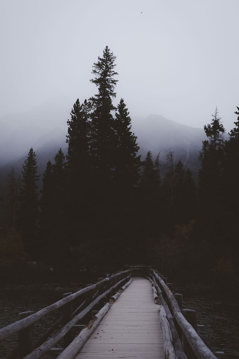 brown footbridge located in the forest, white wooden bridge near forest during daytime HD wallpaper