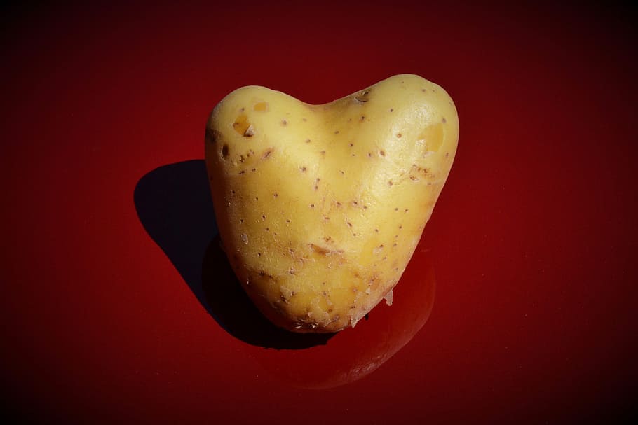 Heart, Potato, Love, I Like You, i like having you, valentine's day, HD wallpaper