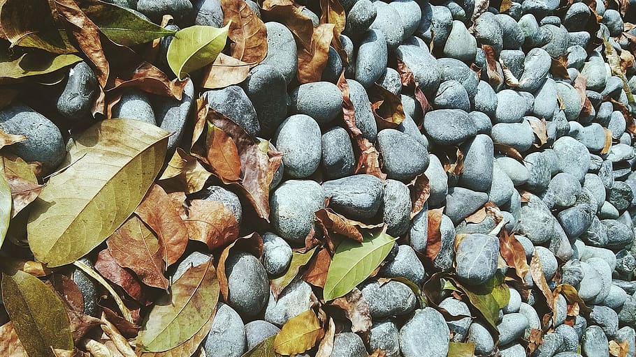 Stone, Texture, Scenery, the scenery, full frame, backgrounds HD wallpaper