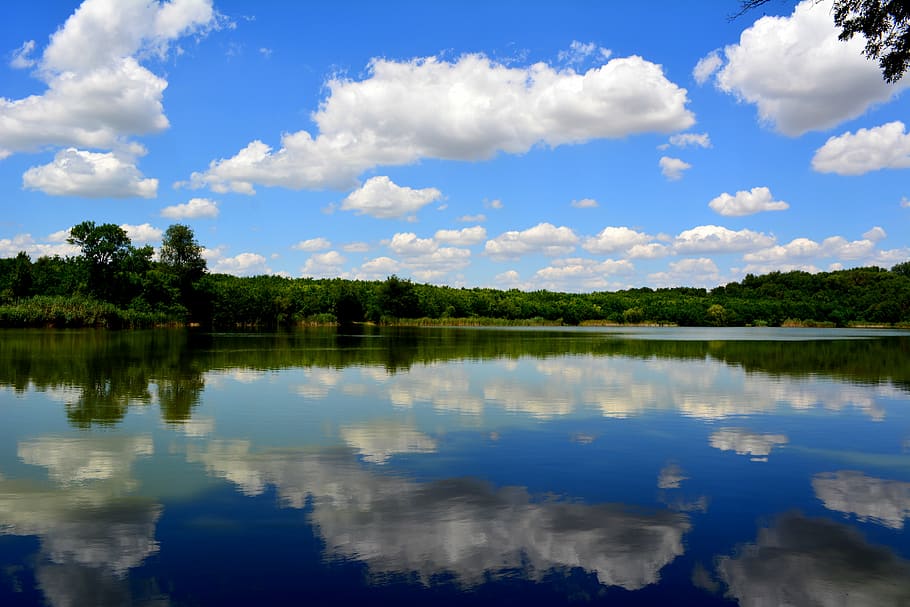 body of water near green leaf trees on green grass field during daytime HD wallpaper