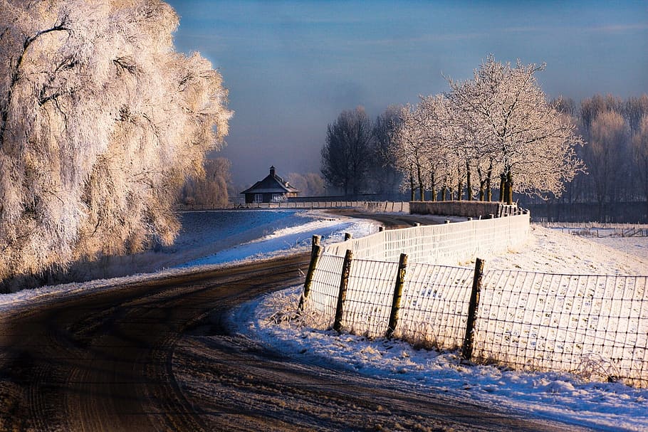 Winter, Landscape, Trees, Snow, Nature, cold, ice, dutch landscape HD wallpaper