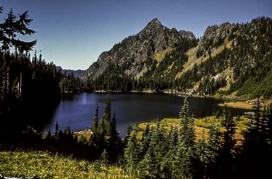 Scenery from Olympic National Park in Washington, photo, lake