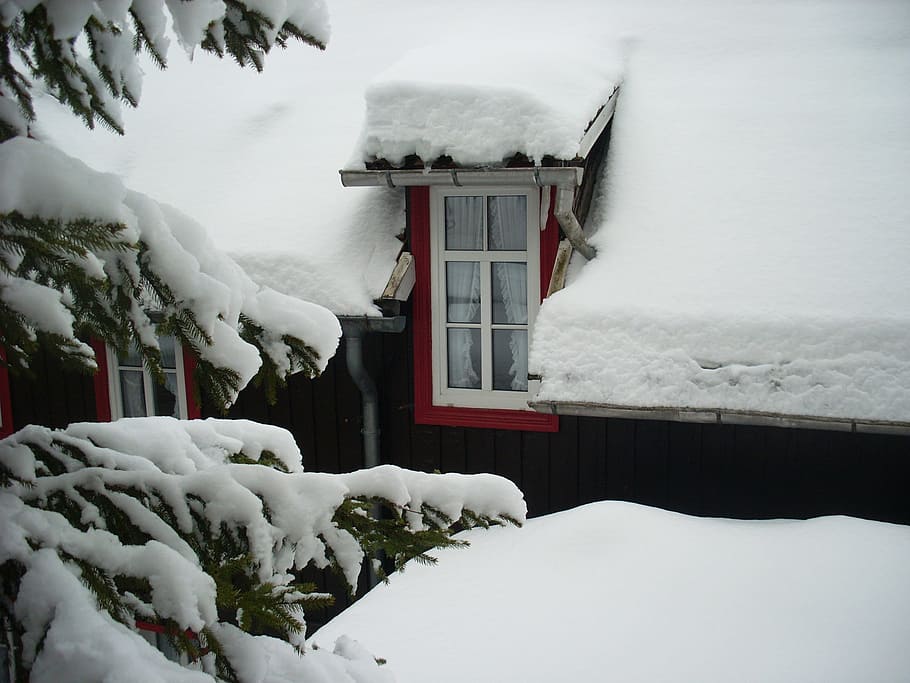 Snow, Window, Winter, Resin, Ice, Snowy, frozen, window frames HD wallpaper